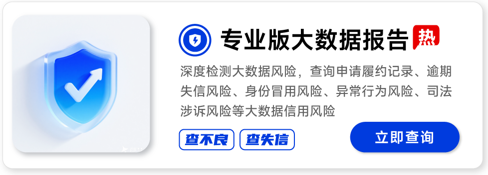 网信大数据信用风险报告